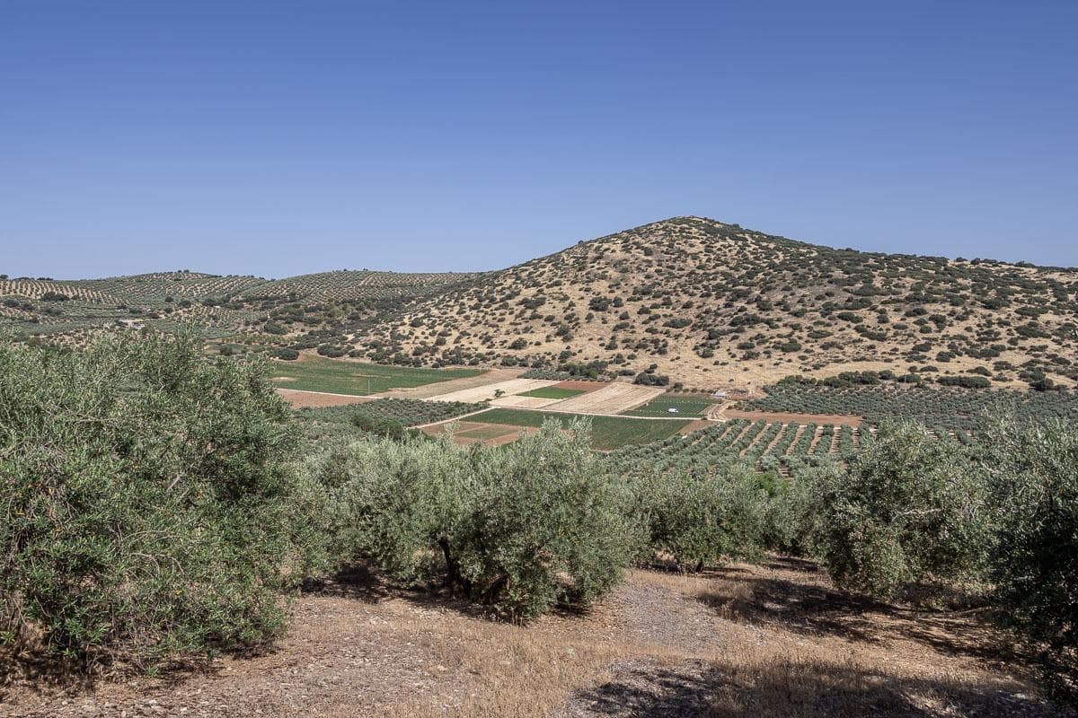 Grunde uden byggetilladelser til salg i Montefrio - € 240.000 (Ref: 9176593)