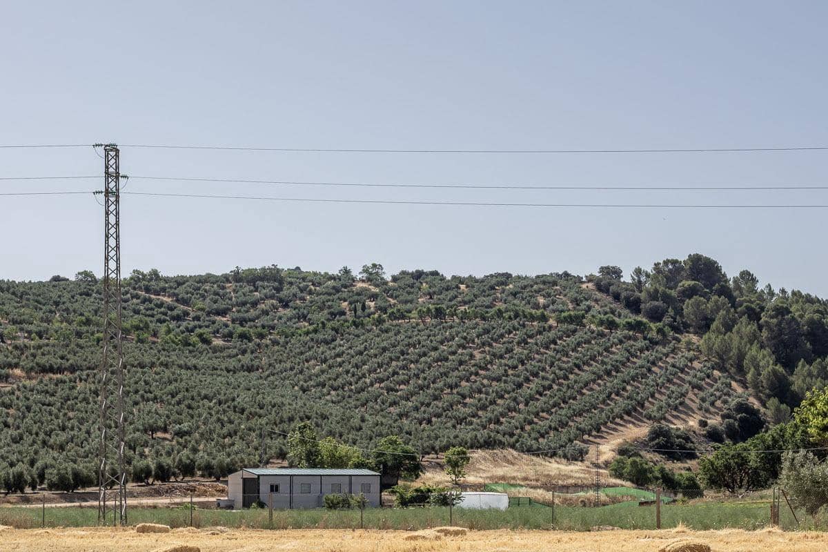 Grunde uden byggetilladelser til salg i Montefrio - € 240.000 (Ref: 9176593)