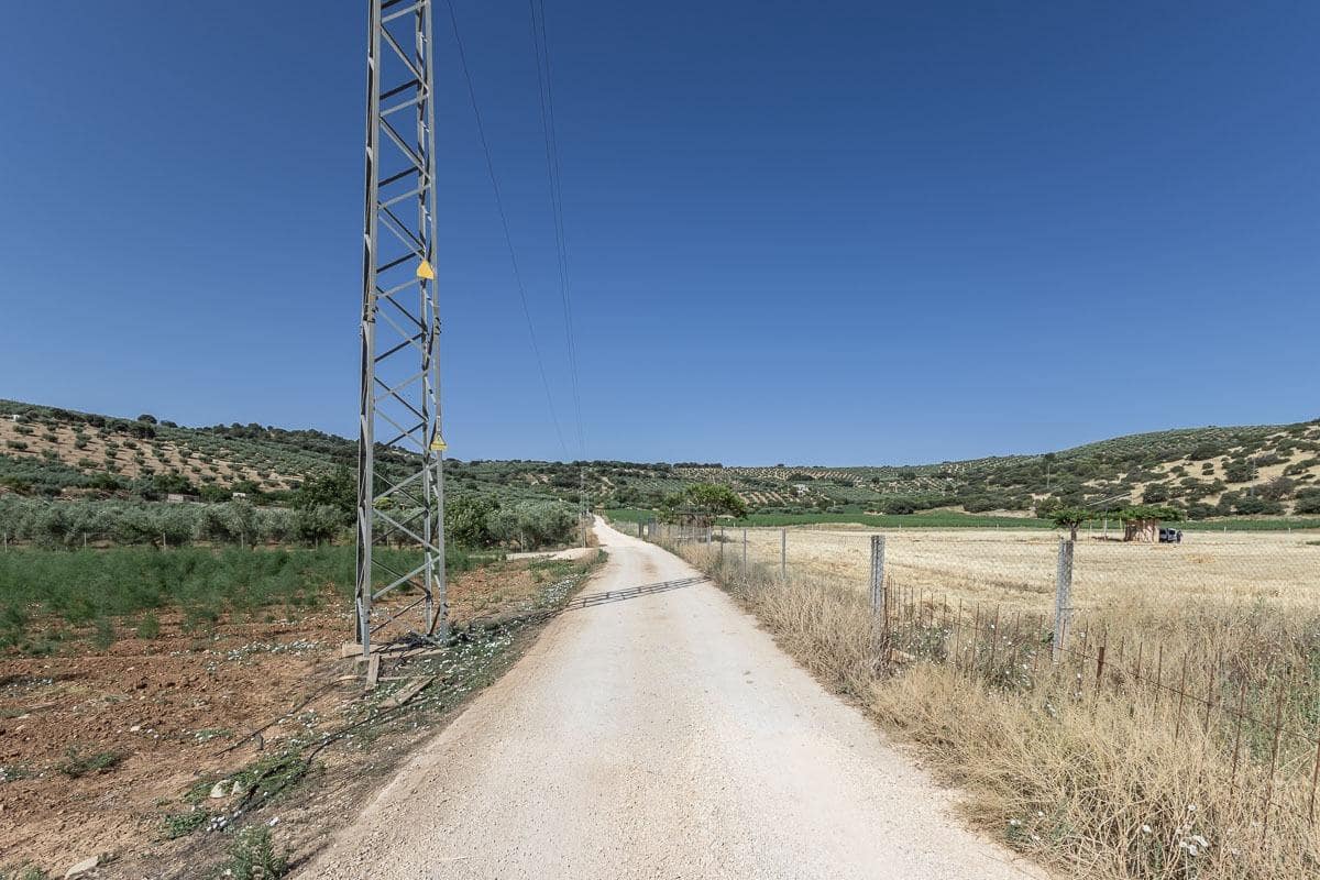 Grunde uden byggetilladelser til salg i Montefrio - € 240.000 (Ref: 9176593)