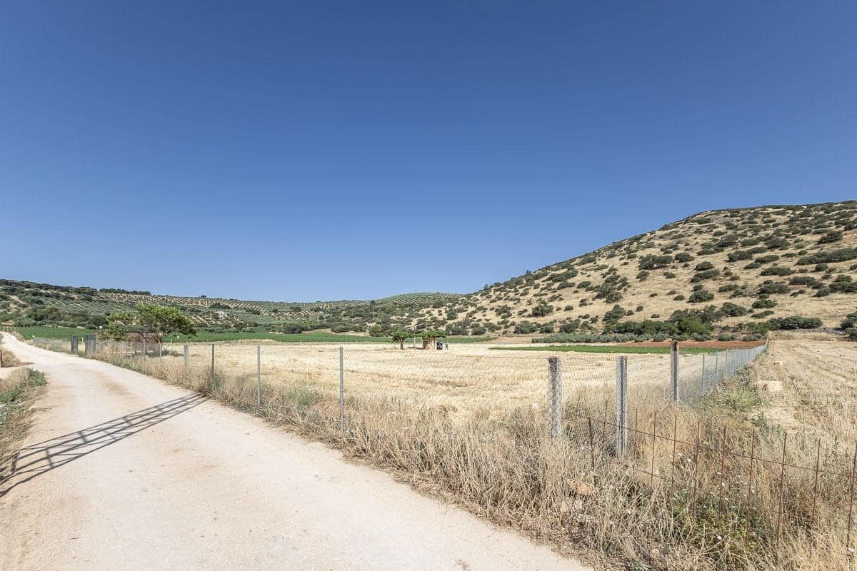 Grunde uden byggetilladelser til salg i Montefrio - € 240.000 (Ref: 9176593)