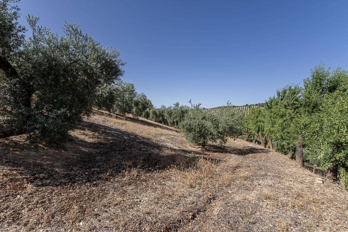 Grunde uden byggetilladelser til salg i Montefrio - € 240.000 (Ref: 9176593)