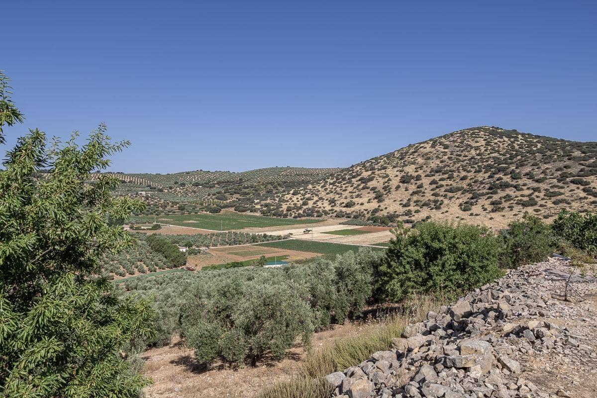 Grunde uden byggetilladelser til salg i Montefrio - € 240.000 (Ref: 9176593)