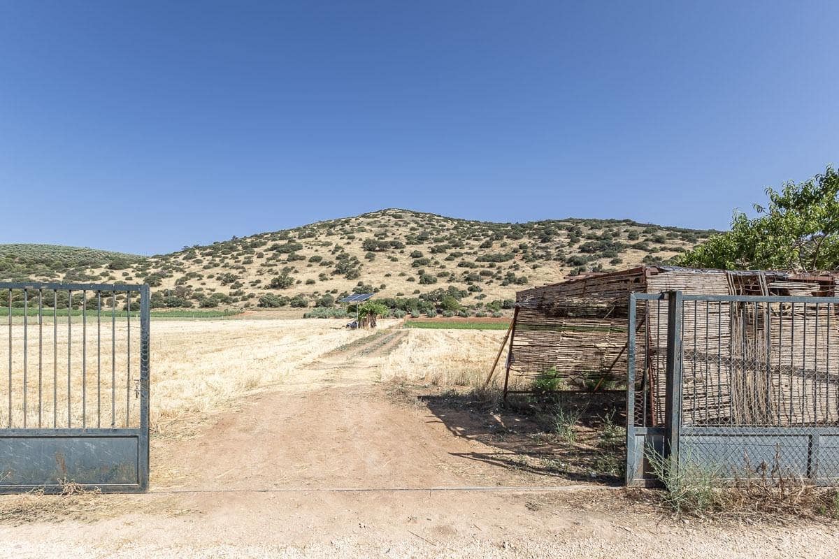 Grunde uden byggetilladelser til salg i Montefrio - € 240.000 (Ref: 9176593)