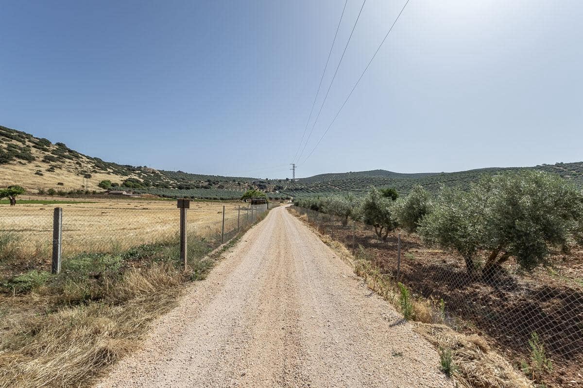 Grunde uden byggetilladelser til salg i Montefrio - € 240.000 (Ref: 9176593)