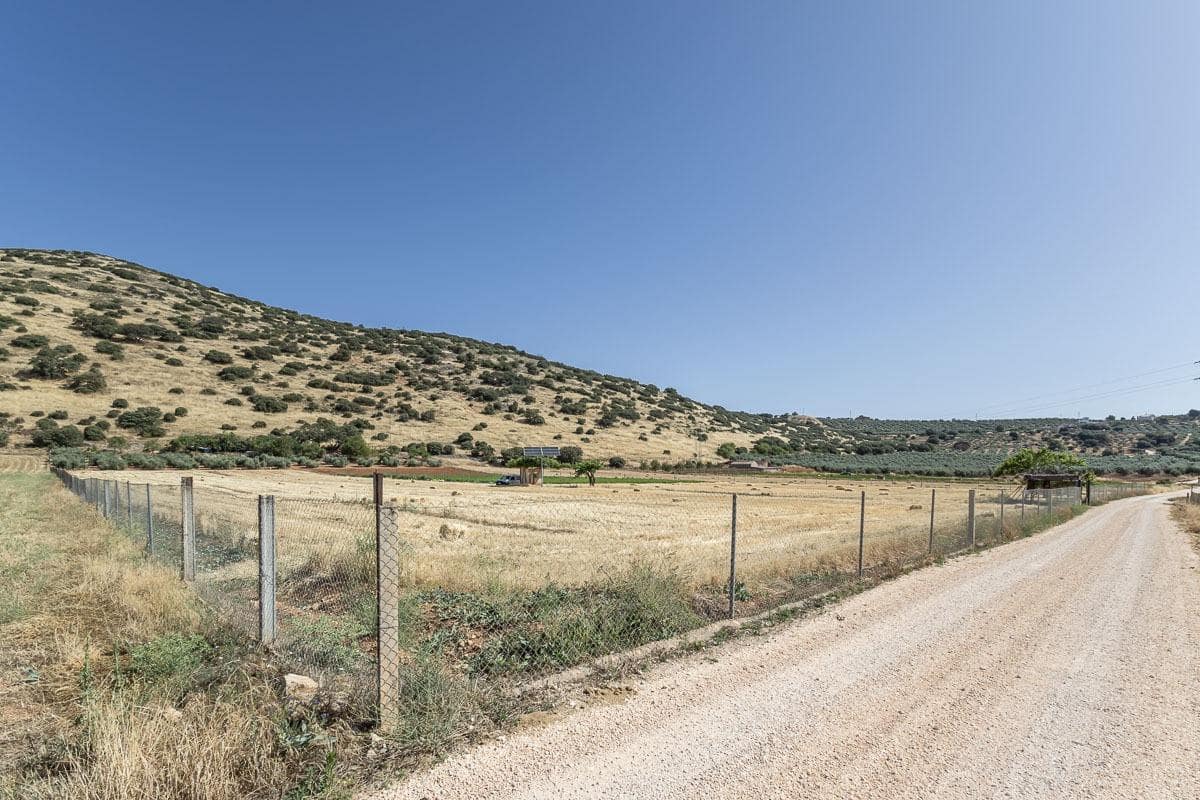 Grunde uden byggetilladelser til salg i Montefrio - € 240.000 (Ref: 9176593)