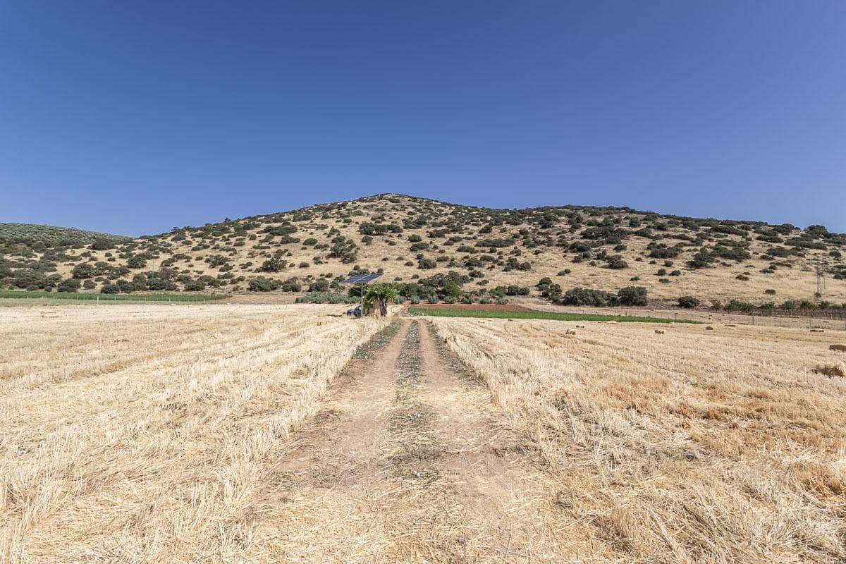 Grunde uden byggetilladelser til salg i Montefrio - € 240.000 (Ref: 9176593)