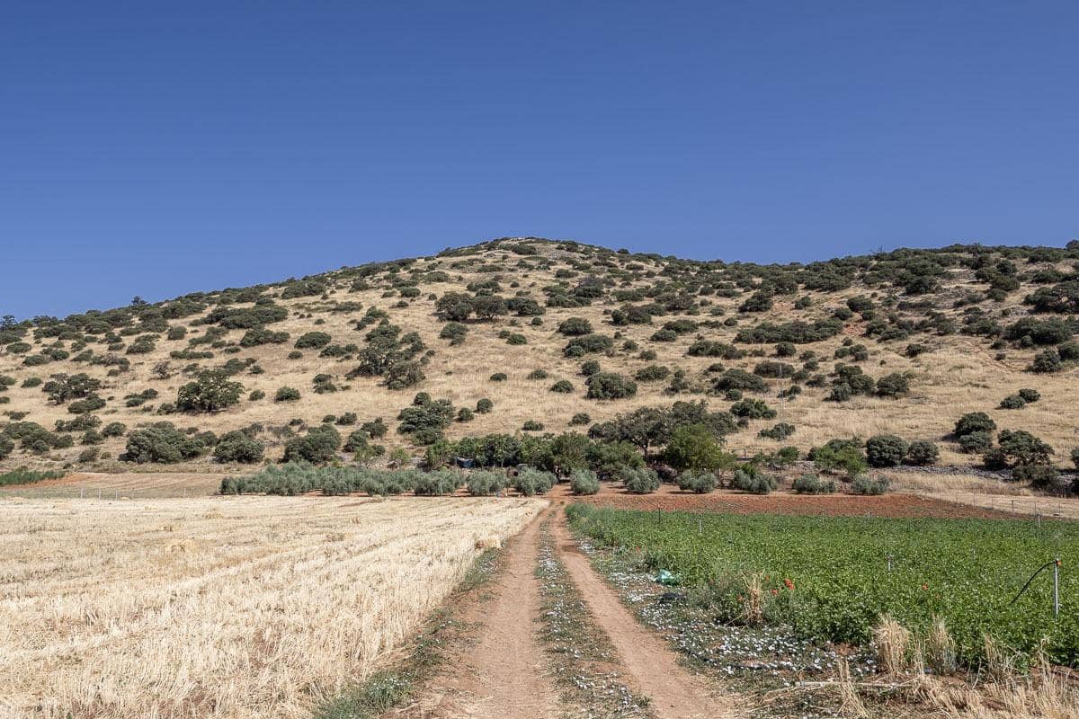 Grunde uden byggetilladelser til salg i Montefrio - € 240.000 (Ref: 9176593)