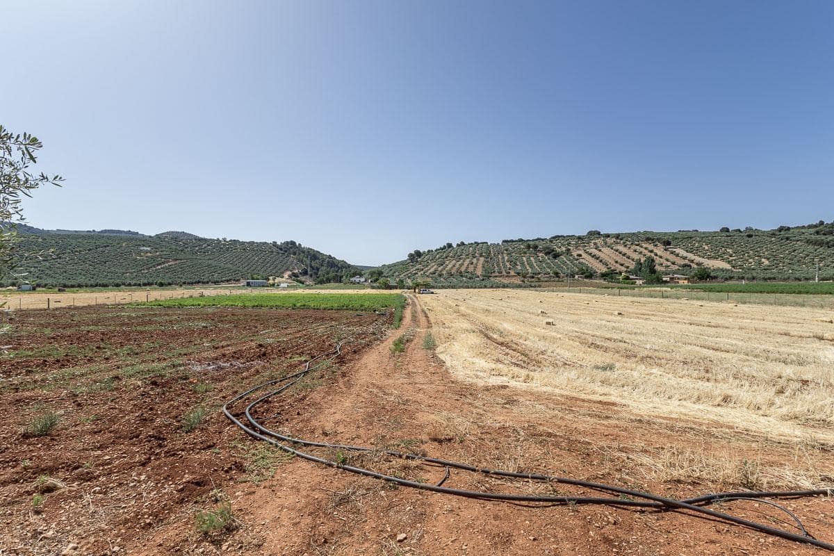 Grunde uden byggetilladelser til salg i Montefrio - € 240.000 (Ref: 9176593)