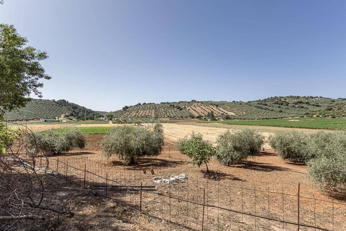 Grunde uden byggetilladelser til salg i Montefrio - € 240.000 (Ref: 9176593)