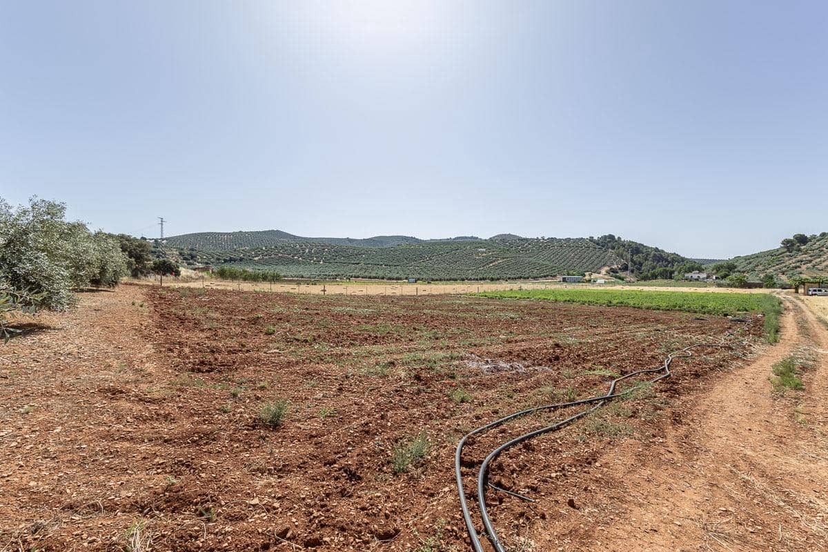 Grunde uden byggetilladelser til salg i Montefrio - € 240.000 (Ref: 9176593)