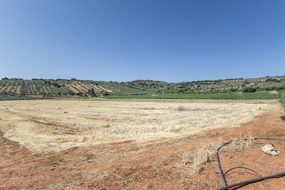 Grunde uden byggetilladelser til salg i Montefrio - € 240.000 (Ref: 9176593)