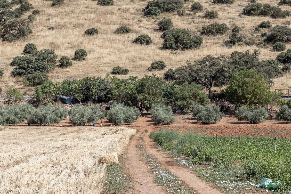 Grunde uden byggetilladelser til salg i Montefrio - € 240.000 (Ref: 9176593)