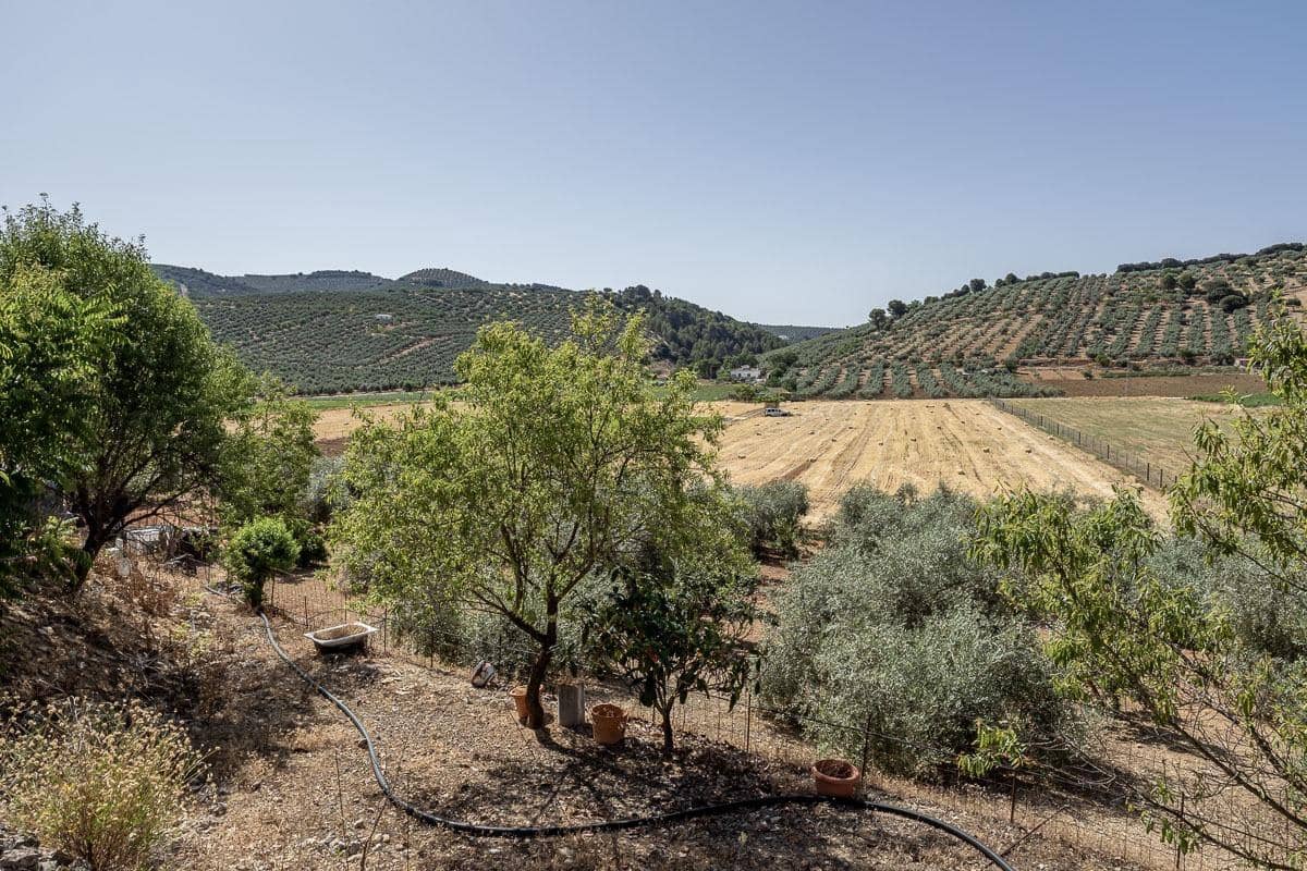 Grunde uden byggetilladelser til salg i Montefrio - € 240.000 (Ref: 9176593)