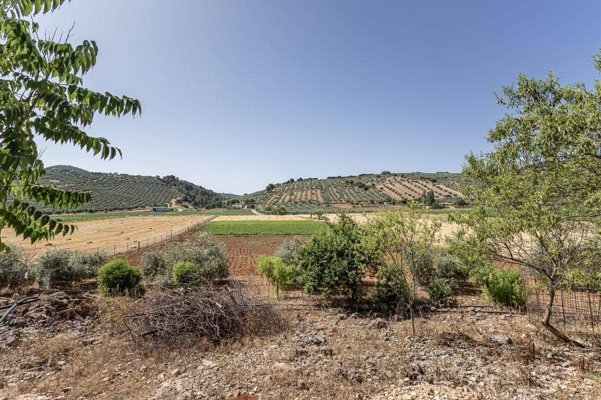 Grunde uden byggetilladelser til salg i Montefrio - € 240.000 (Ref: 9176593)