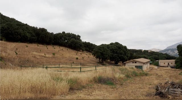 3 bedroom Finca/Country House for sale in Almadén with pool - € 370,000 (Ref: 9183833)