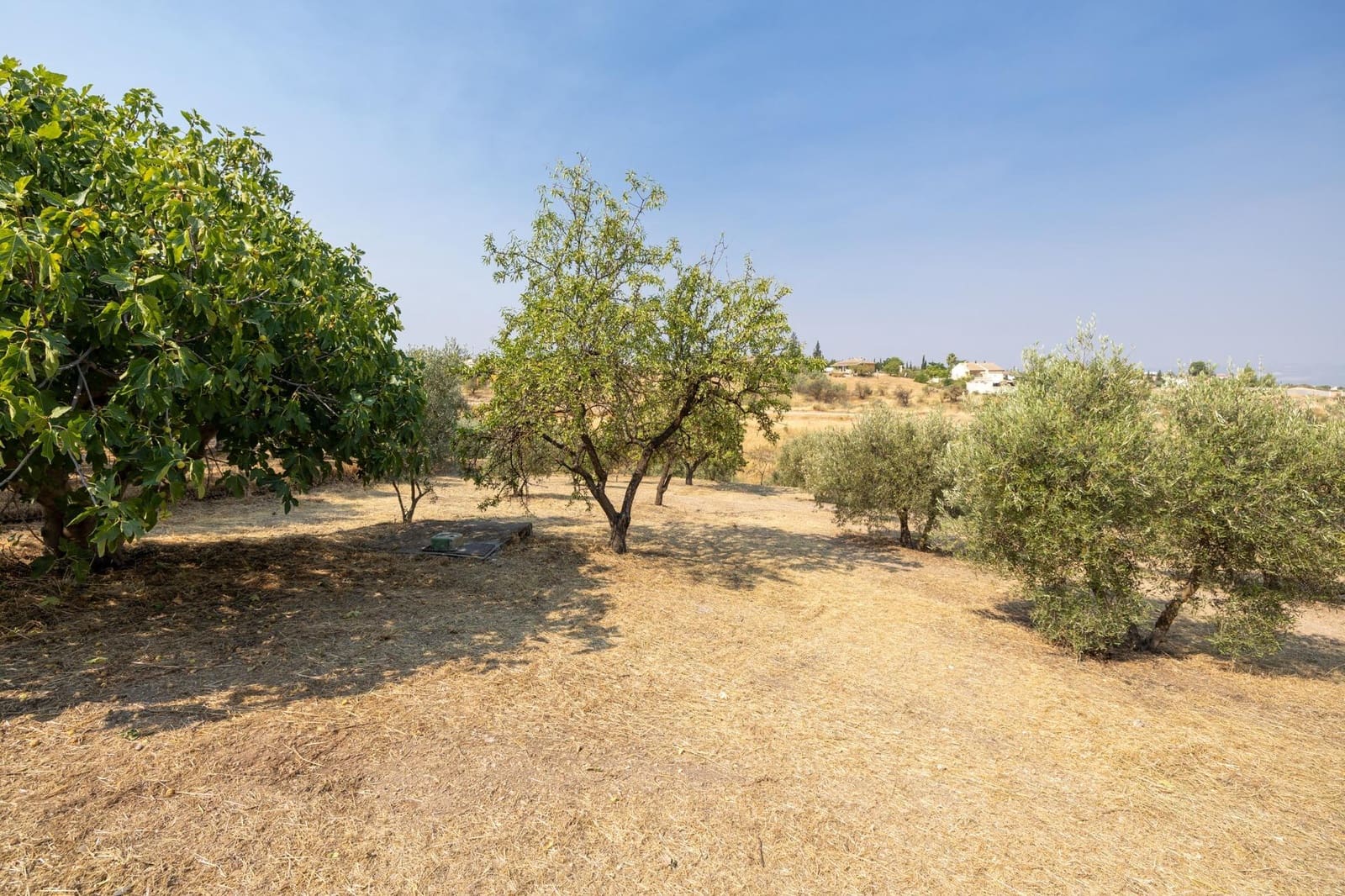 2 soveværelse Finca/Landehus til salg i Moraleda de Zafayona med garage - € 79.900 (Ref: 9200683)