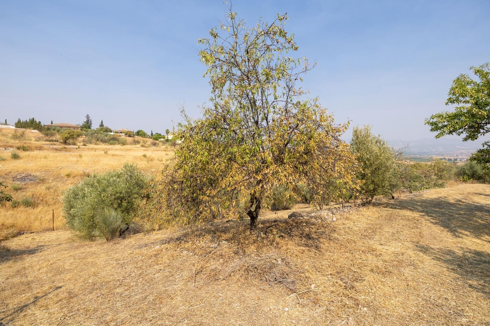 2 soveværelse Finca/Landehus til salg i Moraleda de Zafayona med garage - € 79.900 (Ref: 9200683)