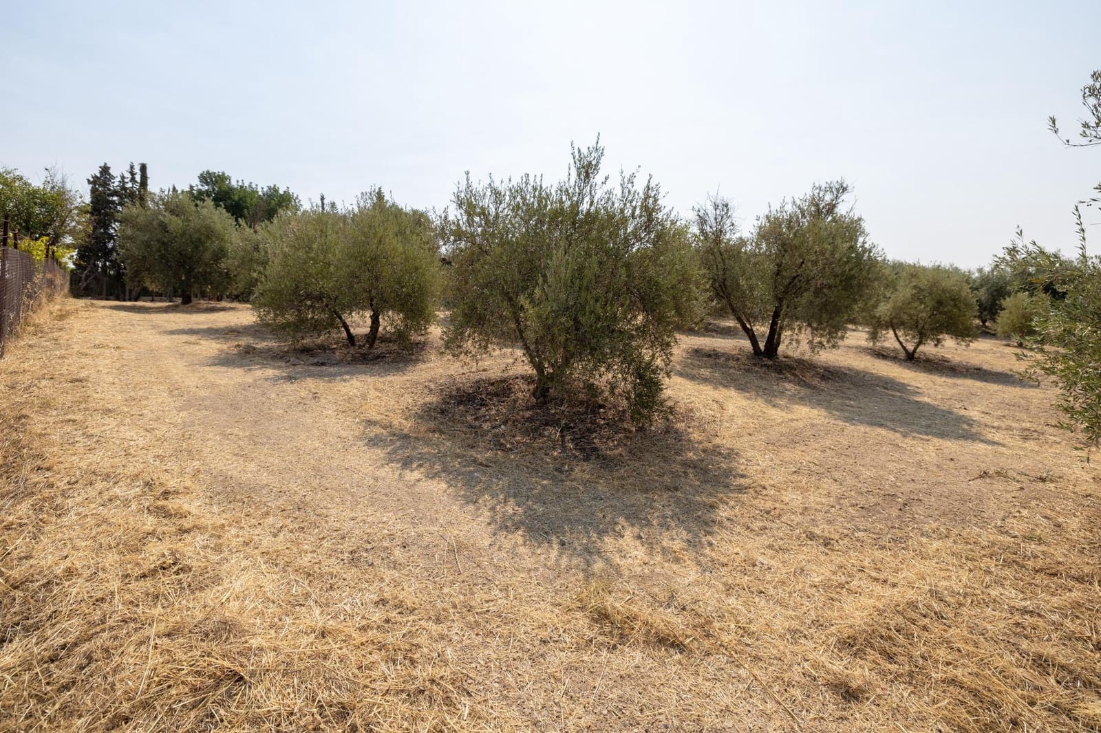 2 soveværelse Finca/Landehus til salg i Moraleda de Zafayona med garage - € 79.900 (Ref: 9200683)