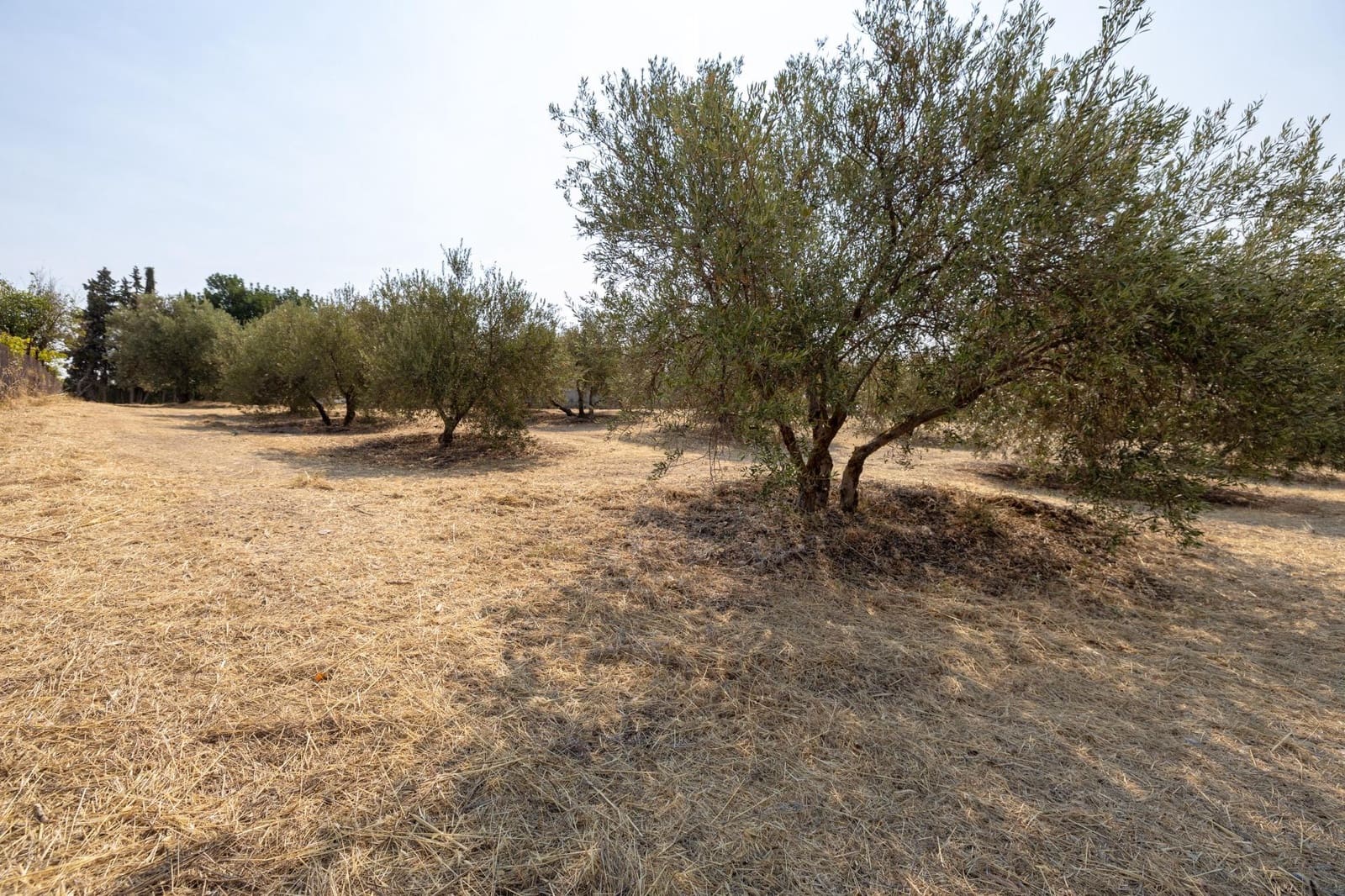 2 soveværelse Finca/Landehus til salg i Moraleda de Zafayona med garage - € 79.900 (Ref: 9200683)