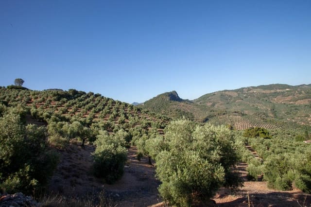 8 slaapkamer Finca/Landhuis te koop in Beas de Segura - € 345.000 (Ref: 9200690)