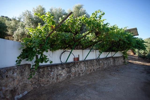 8 slaapkamer Finca/Landhuis te koop in Beas de Segura - € 345.000 (Ref: 9200690)