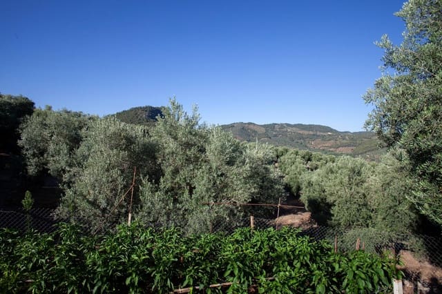 8 slaapkamer Finca/Landhuis te koop in Beas de Segura - € 345.000 (Ref: 9200690)