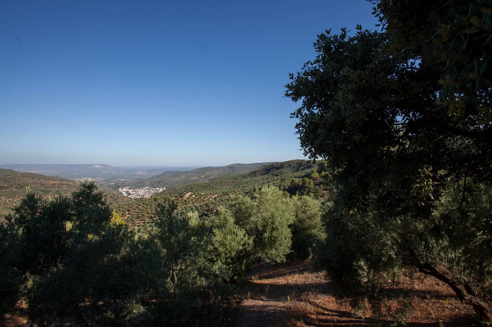 8 soveværelse Finca/Landehus til salg i Beas de Segura - € 345.000 (Ref: 9200690)