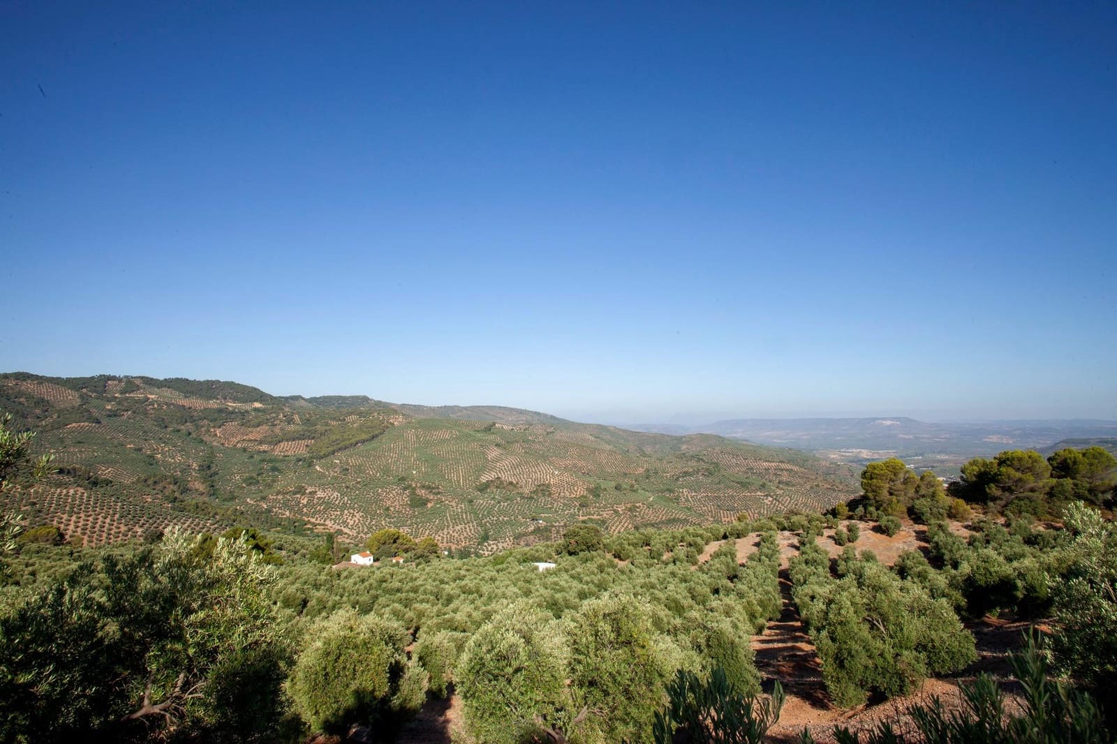 8 soveværelse Finca/Landehus til salg i Beas de Segura - € 345.000 (Ref: 9200690)