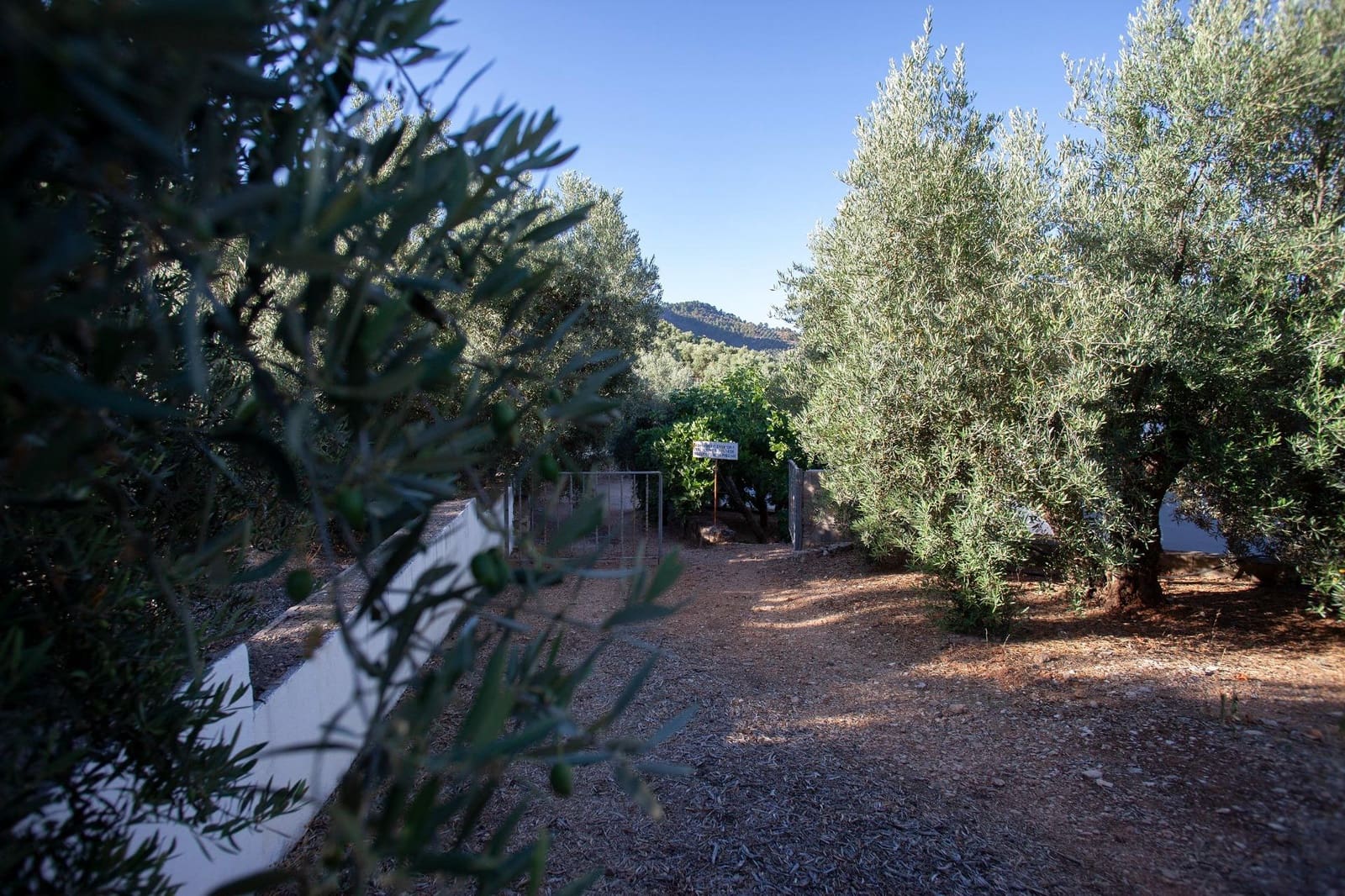 8 soveværelse Finca/Landehus til salg i Beas de Segura - € 345.000 (Ref: 9200690)