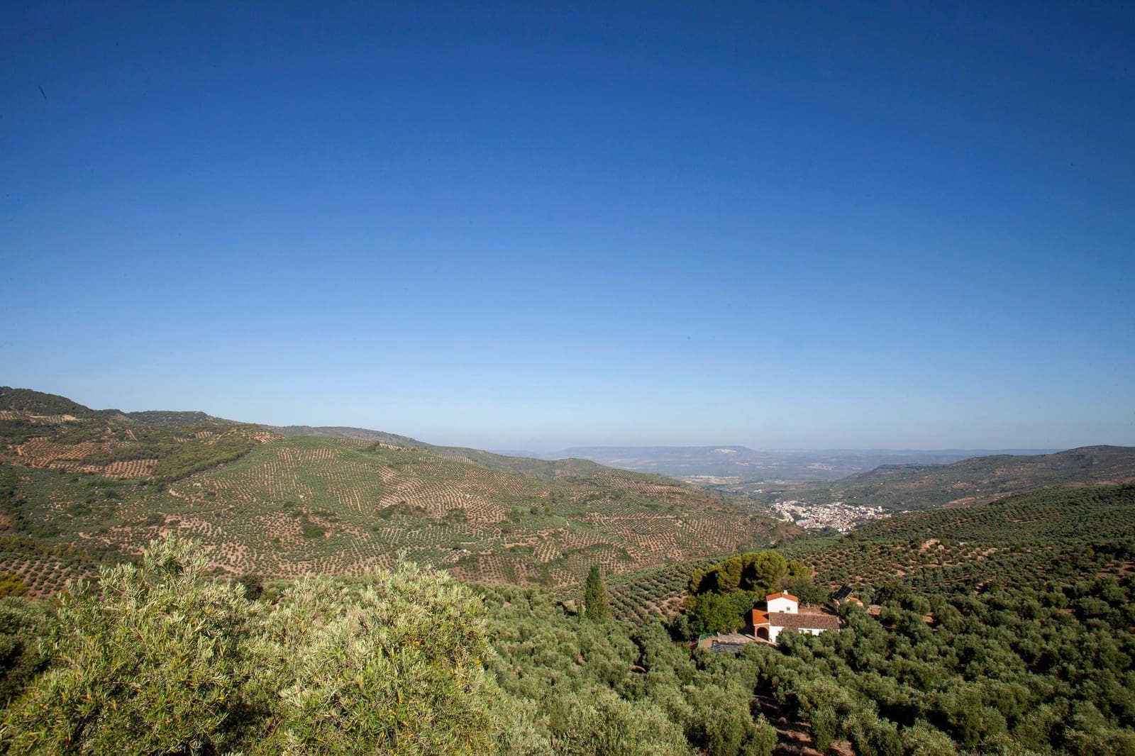 8 soveværelse Finca/Landehus til salg i Beas de Segura - € 345.000 (Ref: 9200690)