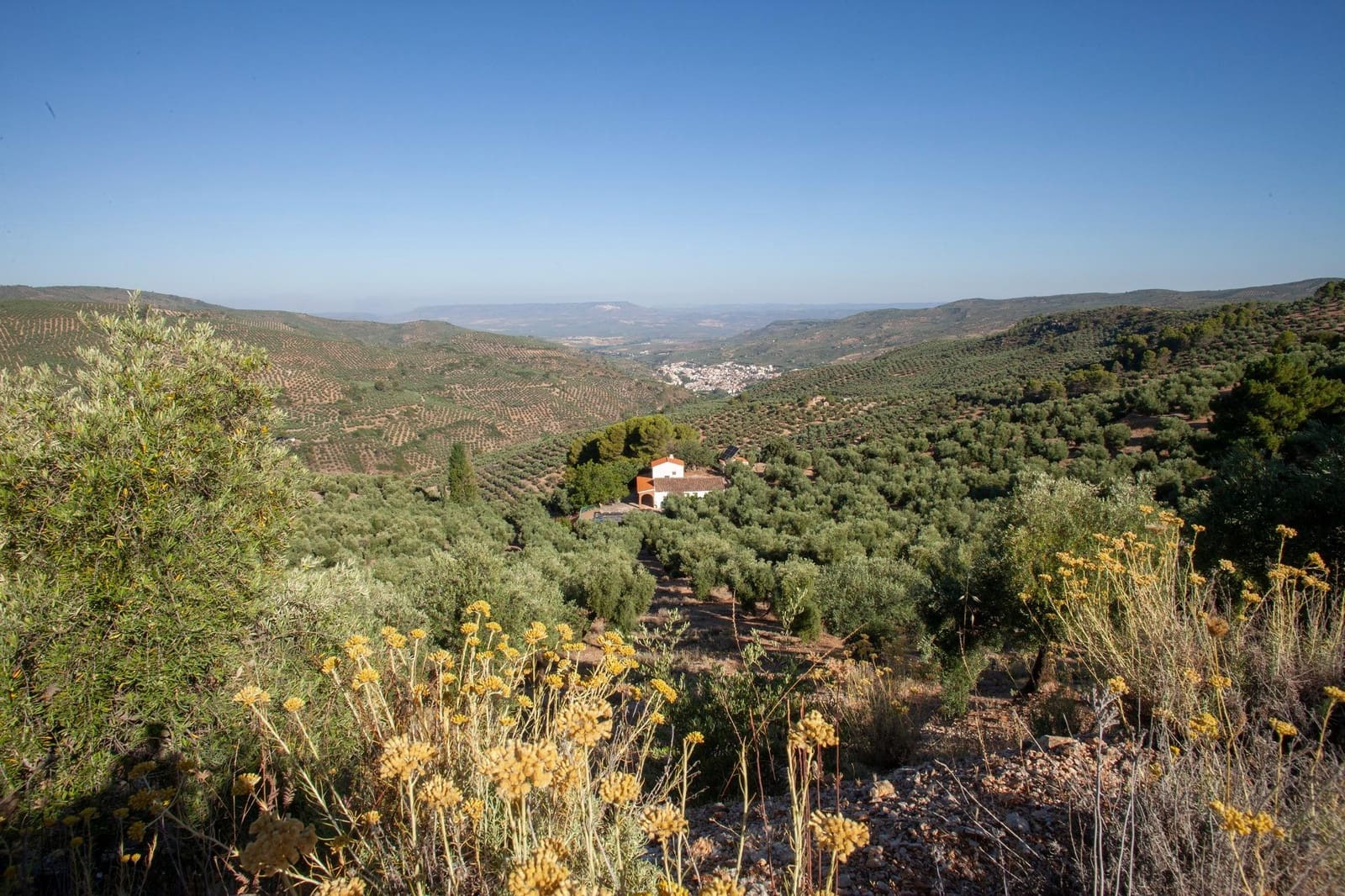 8 soveværelse Finca/Landehus til salg i Beas de Segura - € 345.000 (Ref: 9200690)