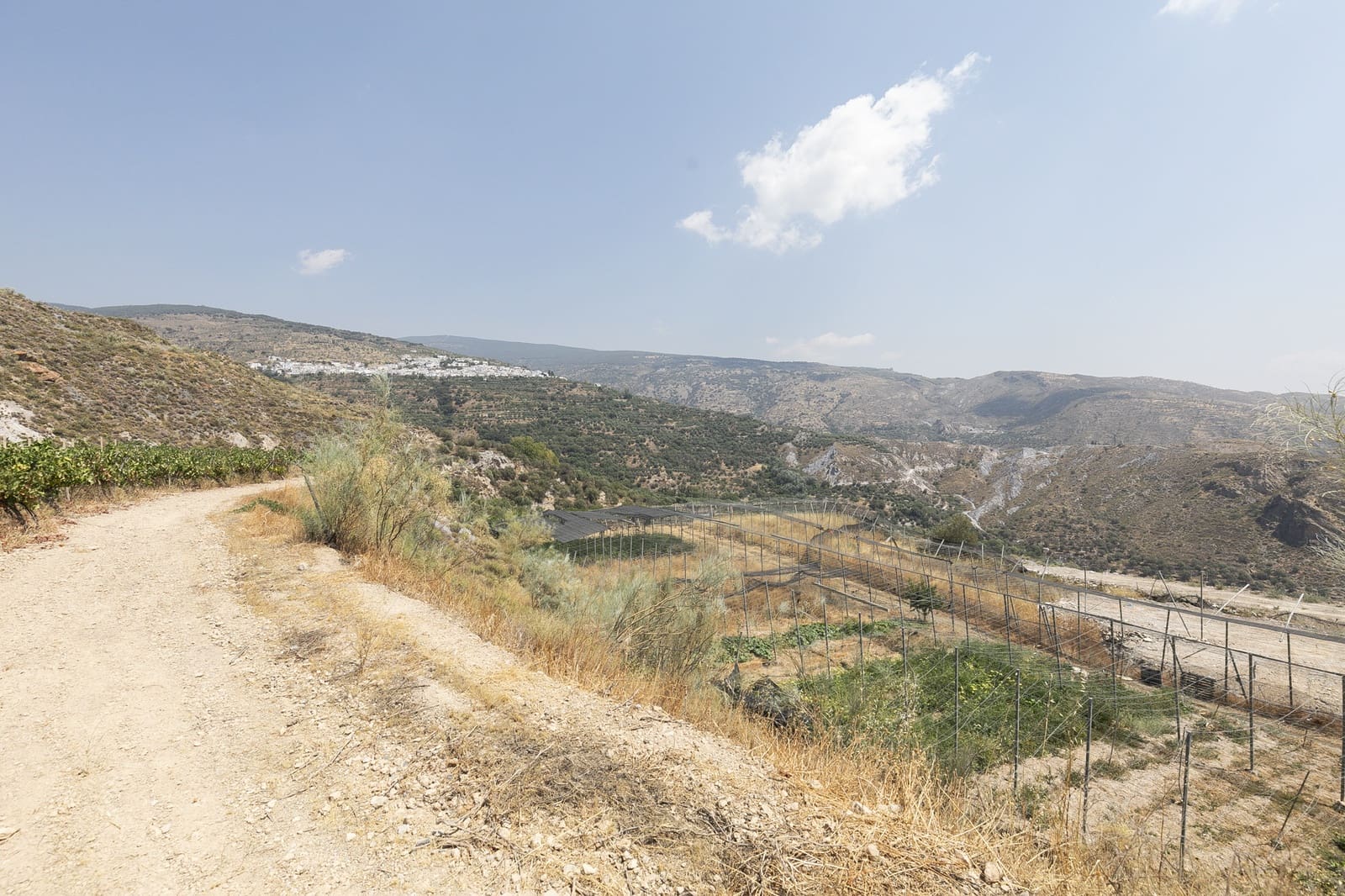 6 soveværelse Virksomhed til salg i Granada by - € 1.550.000 (Ref: 9220182)