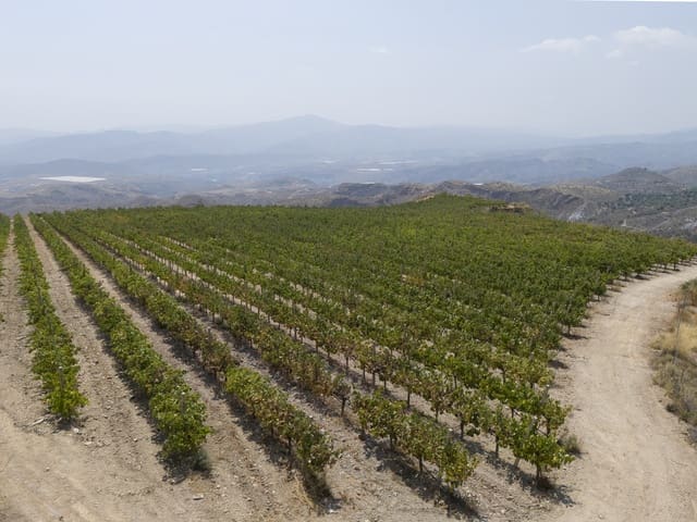 6 bedroom Business for sale in Granada city - € 1,550,000 (Ref: 9220182)