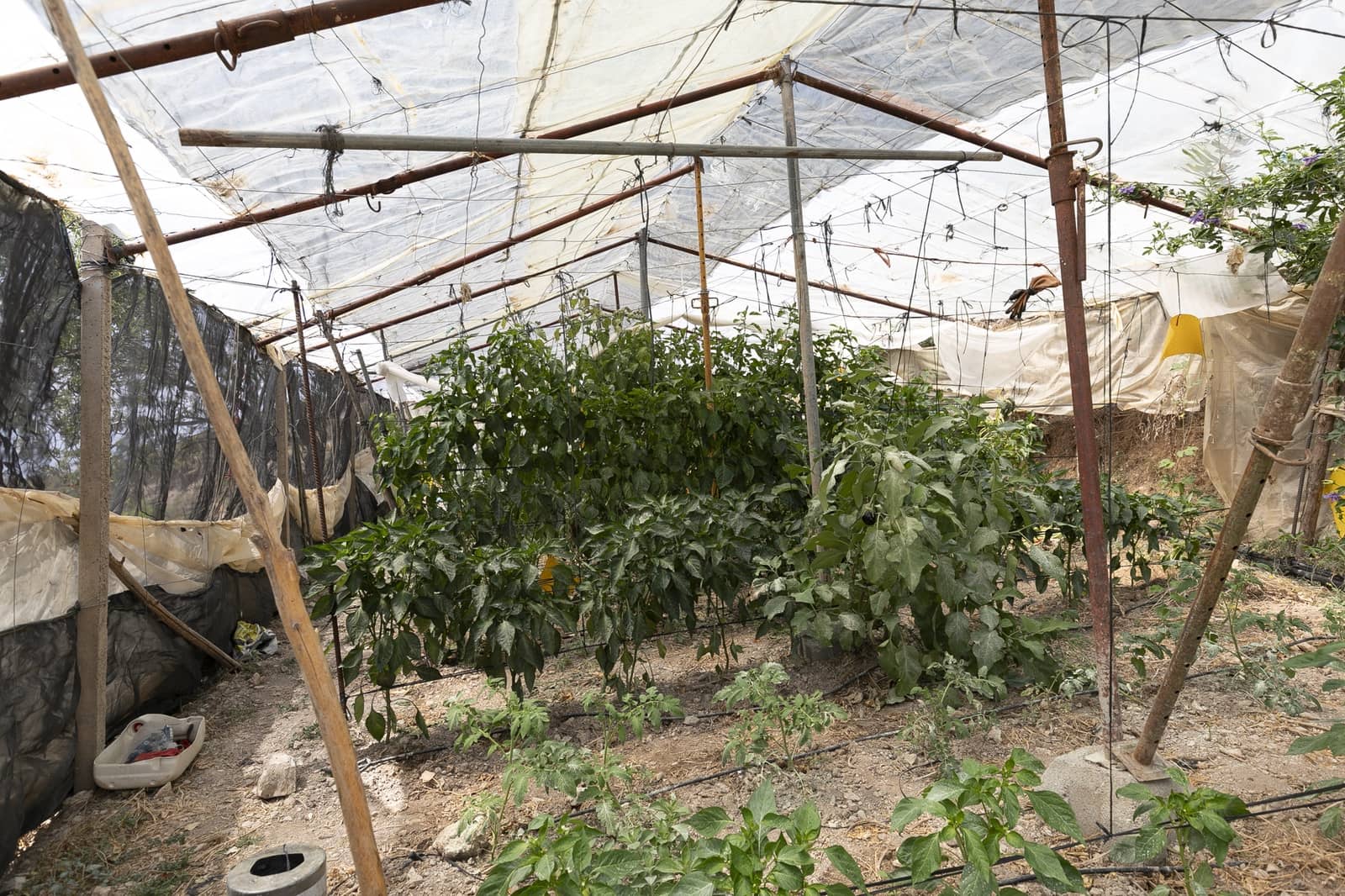 6 soveværelse Virksomhed til salg i Granada by - € 1.550.000 (Ref: 9220182)