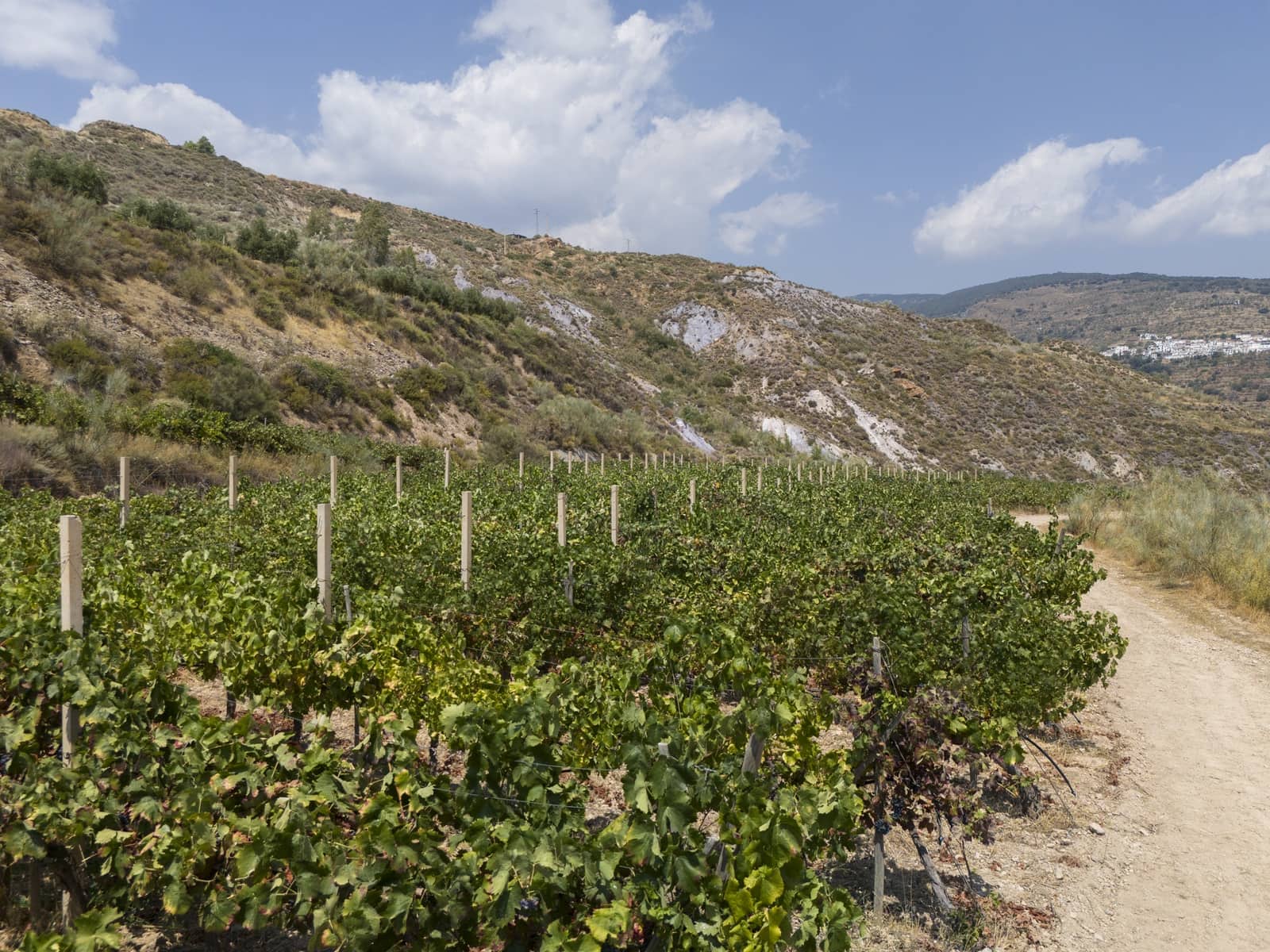 6 soveværelse Virksomhed til salg i Granada by - € 1.550.000 (Ref: 9220182)