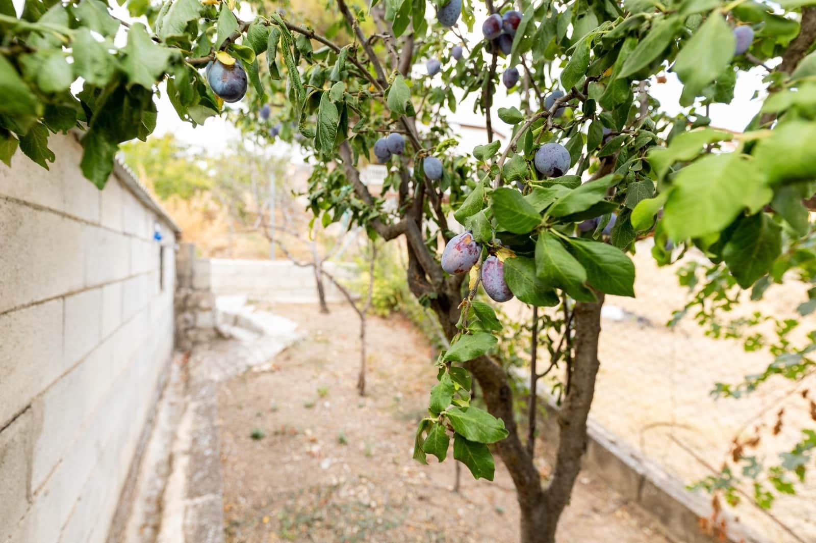 6 soveværelse Finca/Landehus til salg i Colomera med garage - € 129.000 (Ref: 9226934)