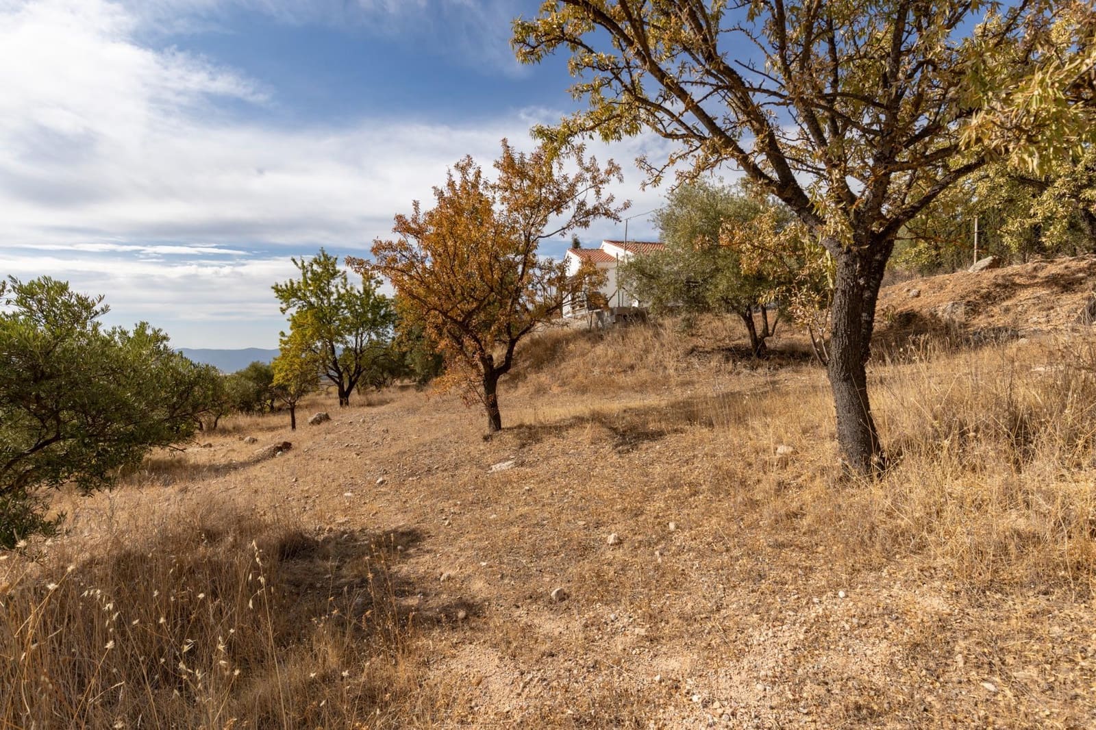 4 soveværelse Finca/Landehus til salg i Cogollos Vega med swimmingpool - € 199.000 (Ref: 9236792)