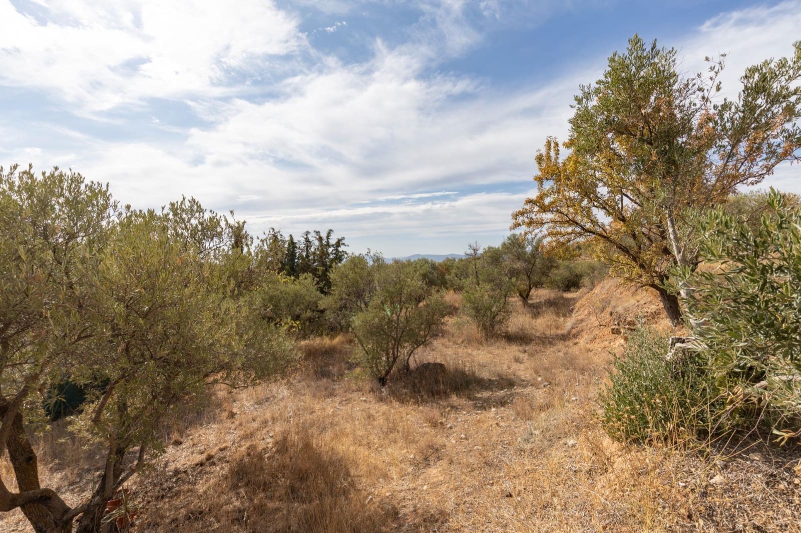 4 soveværelse Finca/Landehus til salg i Cogollos Vega med swimmingpool - € 199.000 (Ref: 9236792)