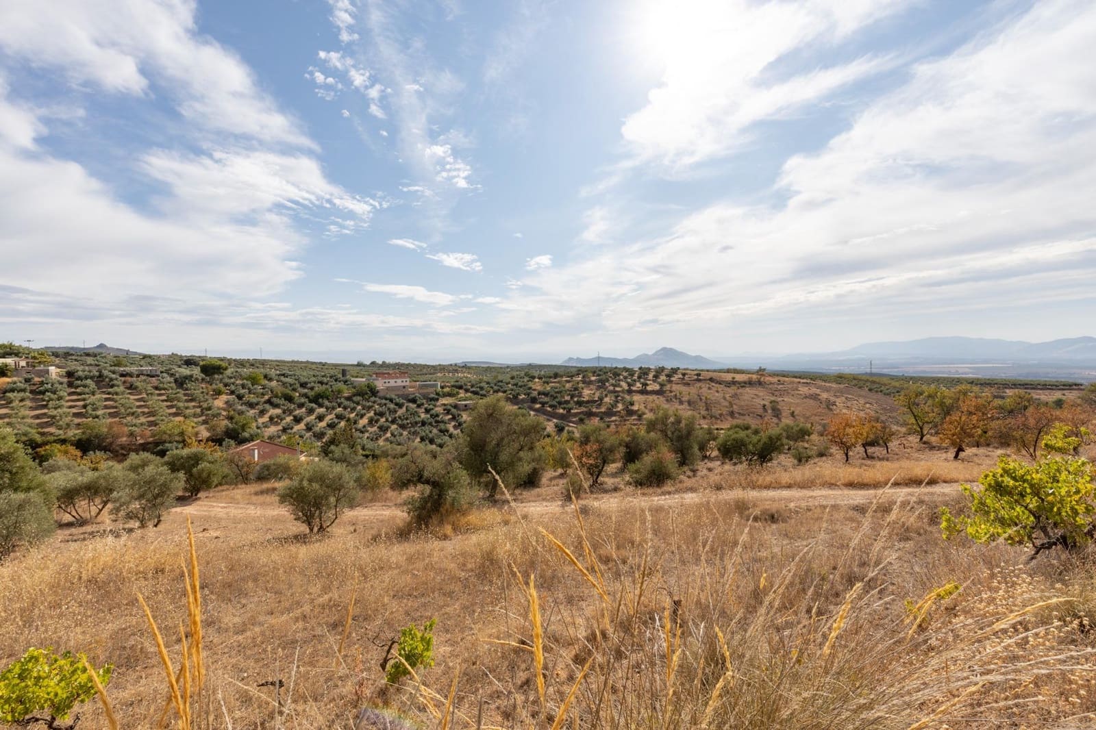 4 soveværelse Finca/Landehus til salg i Cogollos Vega med swimmingpool - € 199.000 (Ref: 9236792)