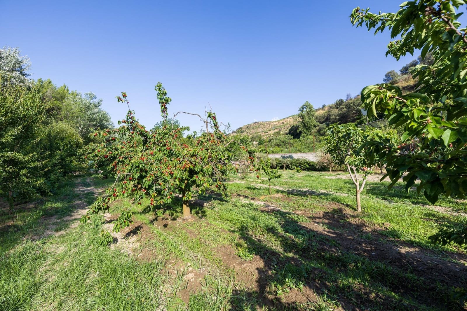 Grunde uden byggetilladelser til salg i Pinos Genil - € 138.000 (Ref: 9240286)