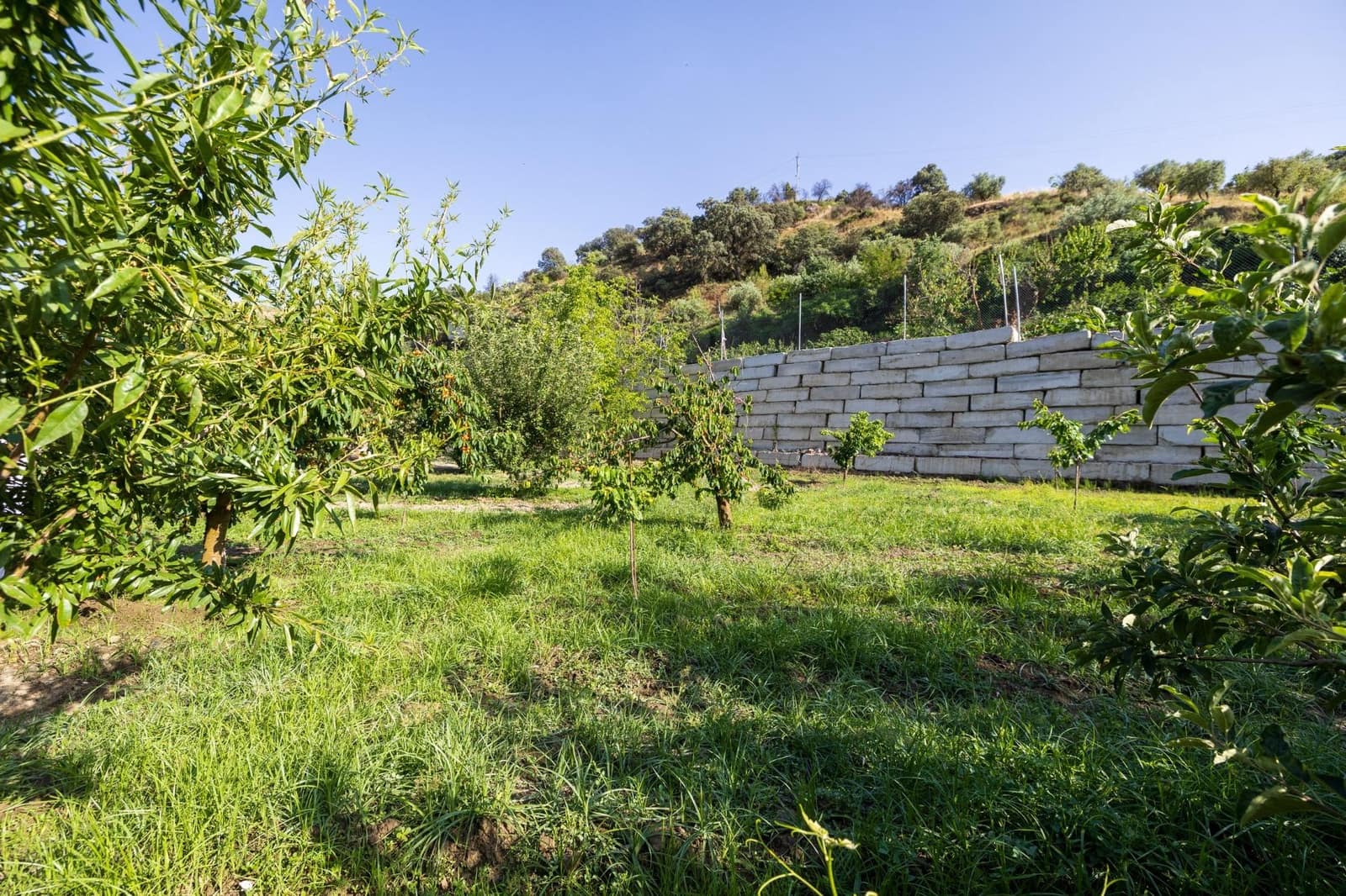 Grunde uden byggetilladelser til salg i Pinos Genil - € 138.000 (Ref: 9240286)