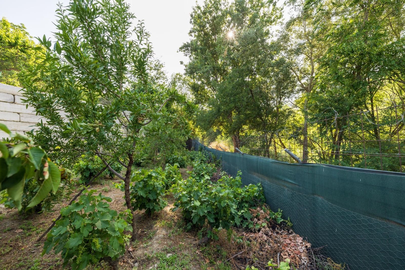 Grunde uden byggetilladelser til salg i Pinos Genil - € 138.000 (Ref: 9240286)