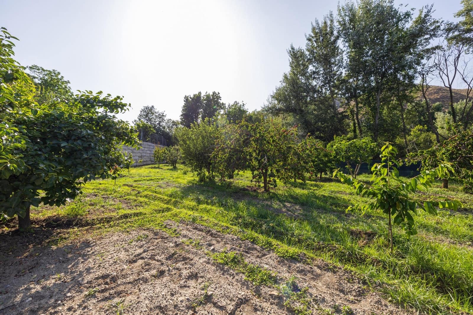 Grunde uden byggetilladelser til salg i Pinos Genil - € 138.000 (Ref: 9240286)