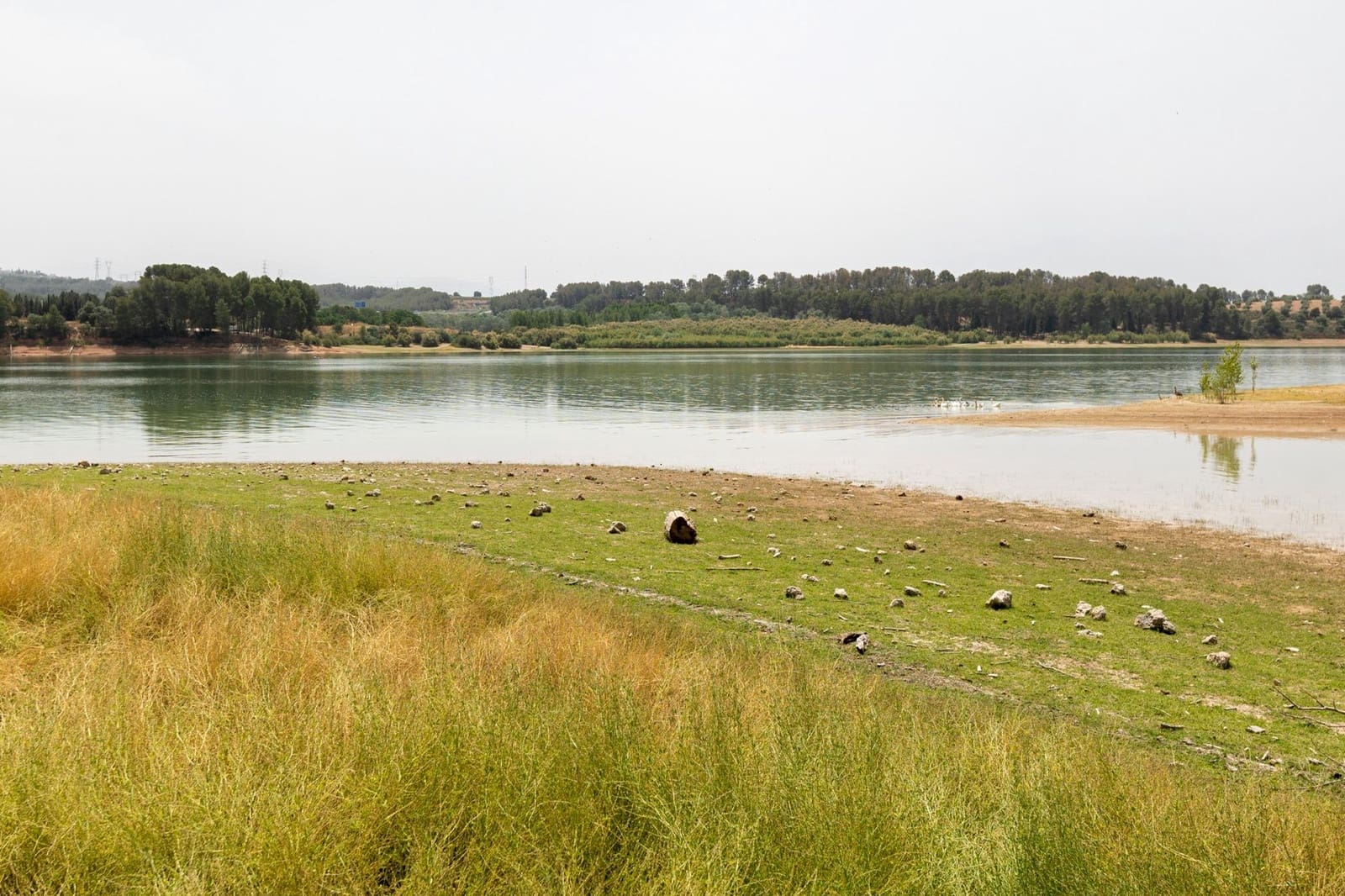 5 soverom Leilighet til salgs i Albolote med svømmebasseng - € 315 000 (Ref: 9311113)