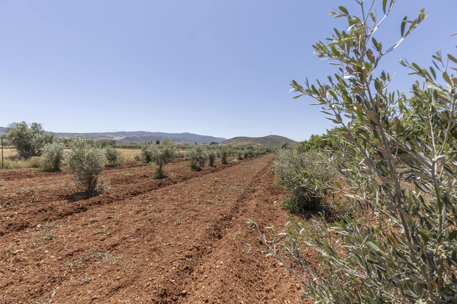 Mark till salu i Cozvijar - 31 500 € (Ref: 9403297)