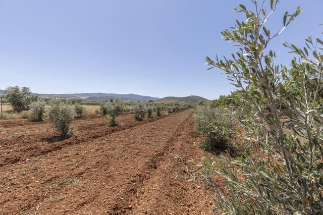 Grond te koop in Cozvijar, Villamena - € 31.500 (Ref: 9403297)