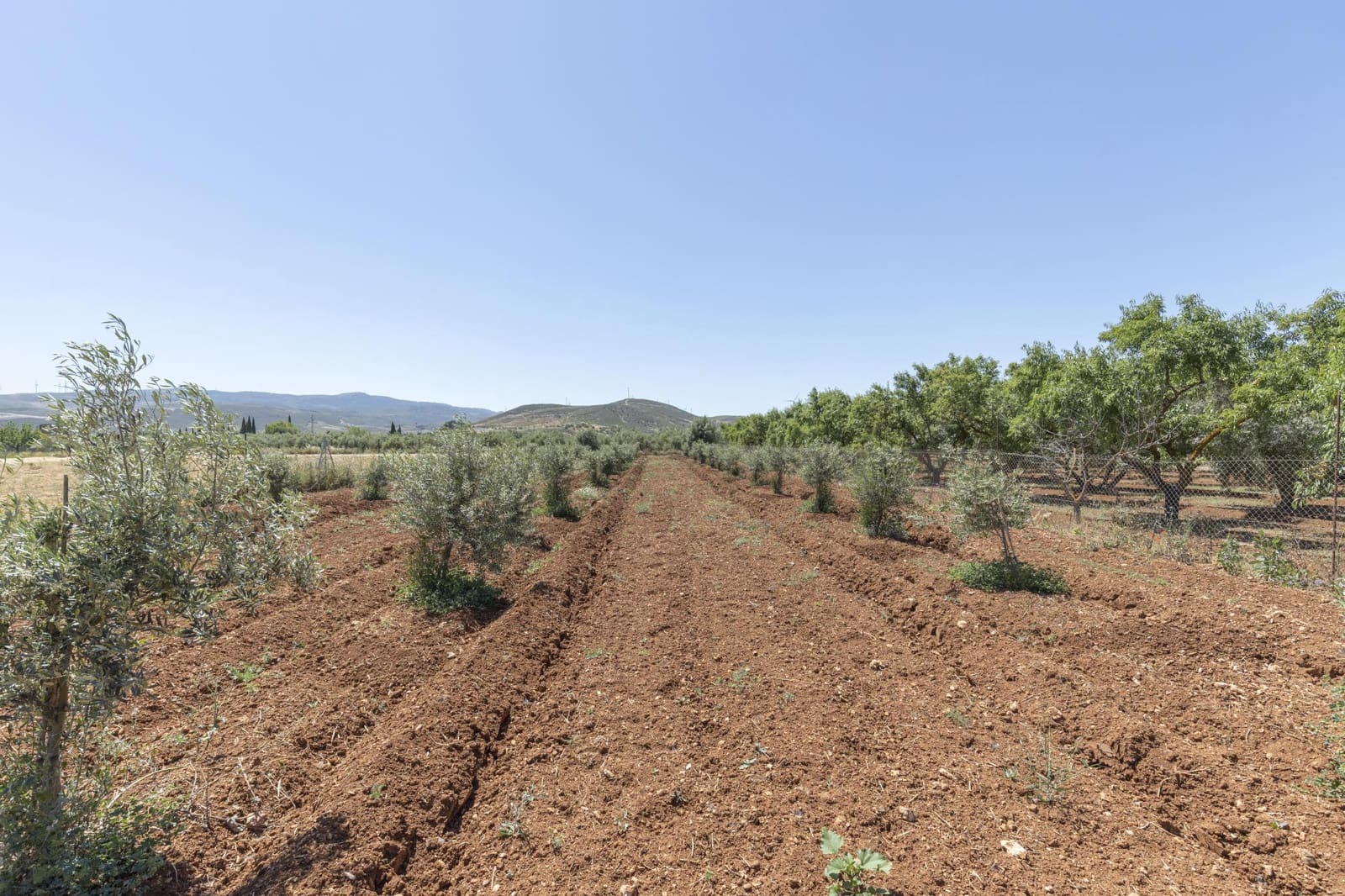 Mark till salu i Cozvijar - 31 500 € (Ref: 9403297)