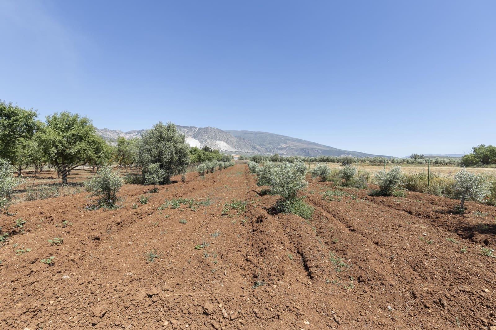 Mark till salu i Cozvijar - 31 500 € (Ref: 9403297)