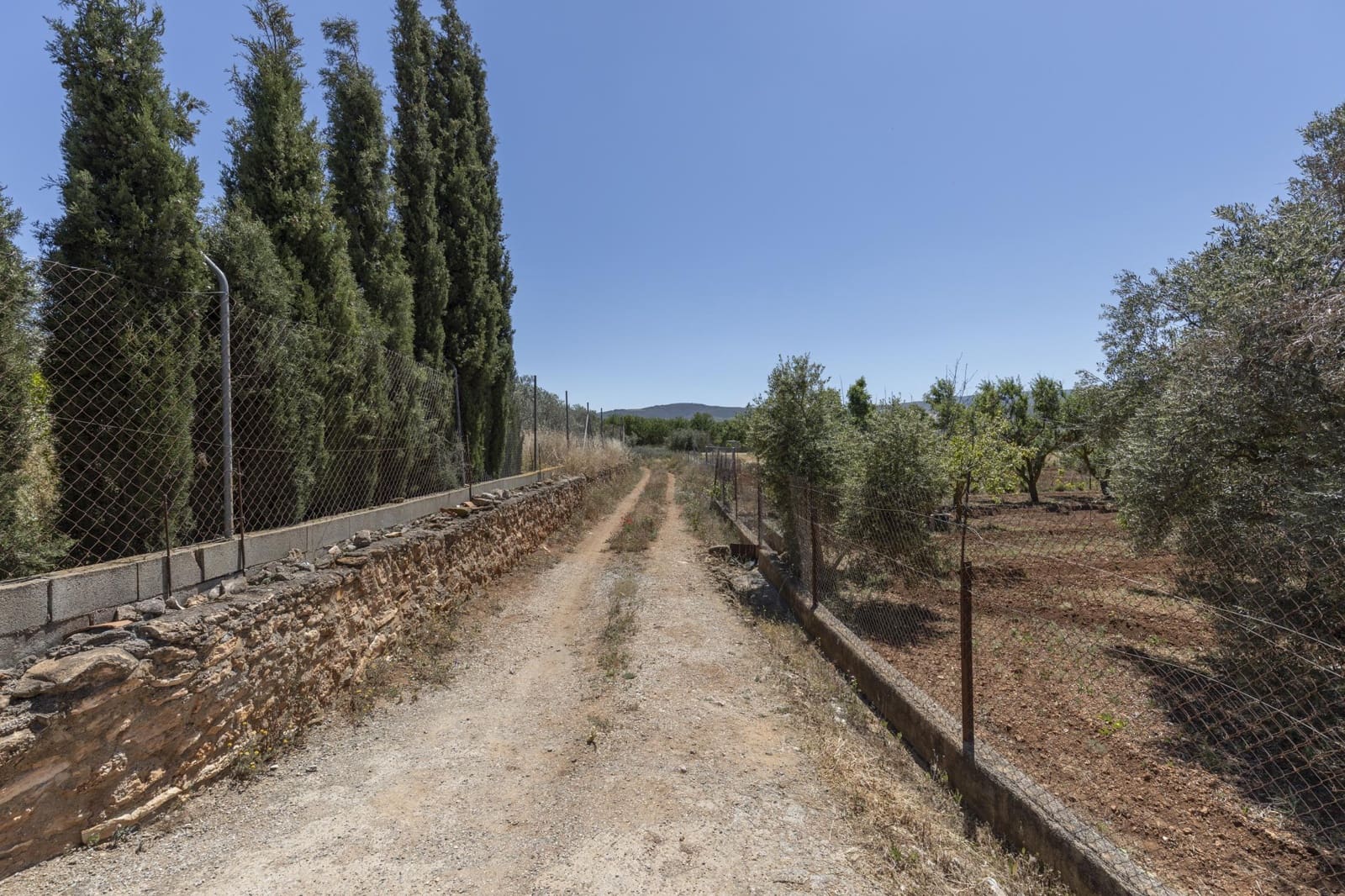 Mark till salu i Cozvijar - 31 500 € (Ref: 9403297)