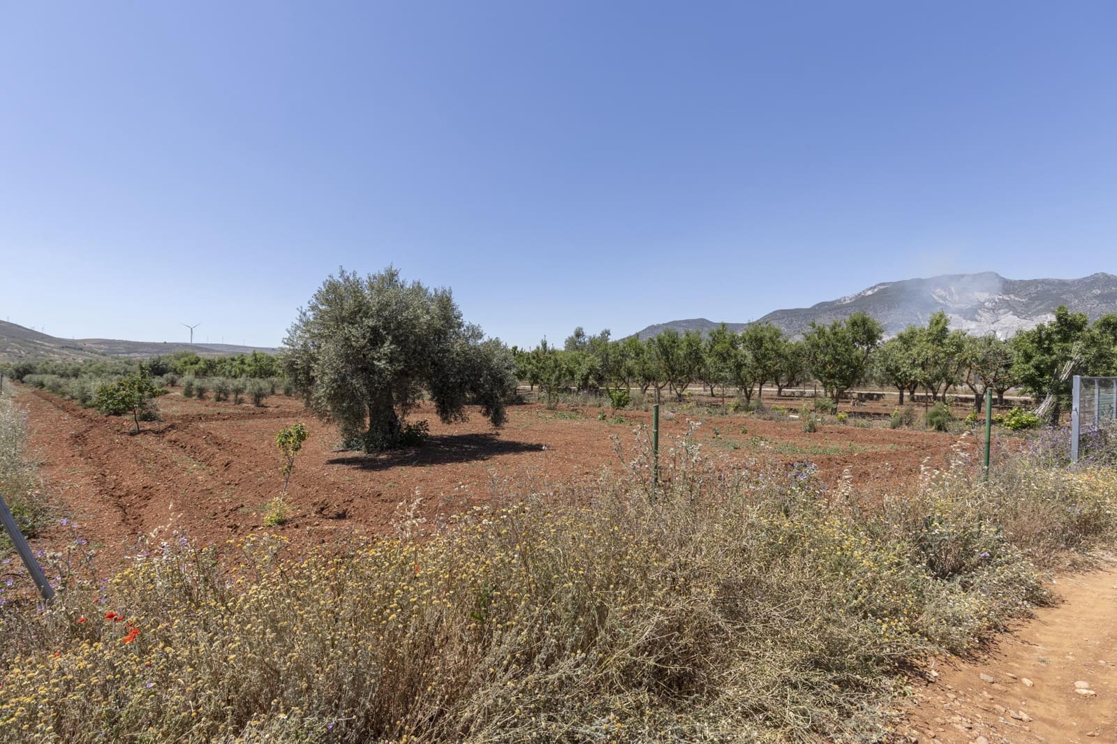 Mark till salu i Cozvijar - 31 500 € (Ref: 9403297)